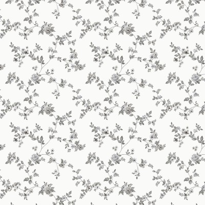 Обои Aura G56646 