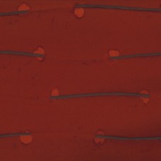 Обои Omexco AT81 