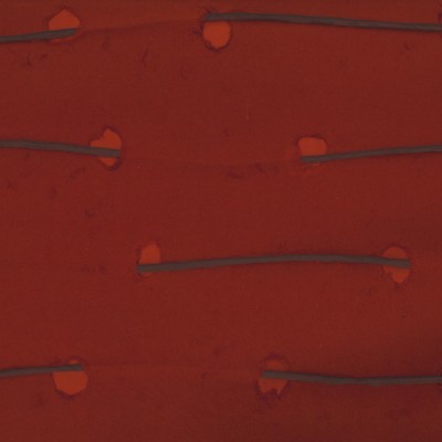 Обои Omexco AT81 