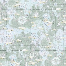 Обои Pierre Frey FP481003 