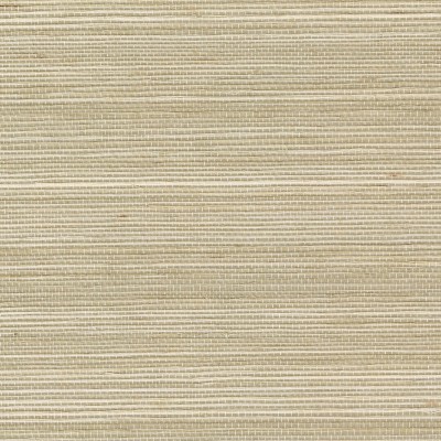 Обои CMO CMO-WSI-01-05 