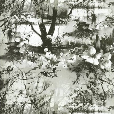 Обои Lelievre 3307-02 