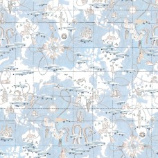 Обои Pierre Frey FP481001 