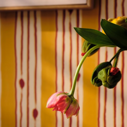 Обои Mindthegap, коллекция Jazz Live, артикул WP30238