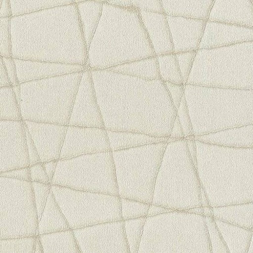 Обои Rubelli, коллекция The Walls of Venice I, артикул 23004-1