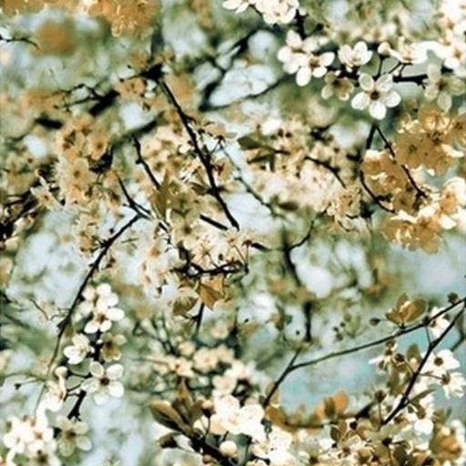 Обои Lelievre, коллекция Jean-Paul Gaultier Voyages Voyages, артикул 3321-02