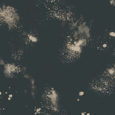 Обои Mayflower FJ000103 