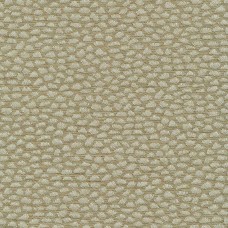 Ткань Rubelli fabric 30070-002 