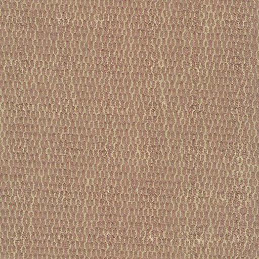 Ткань Rubelli fabric, коллекция FILIGRANA, артикул  30076-004
