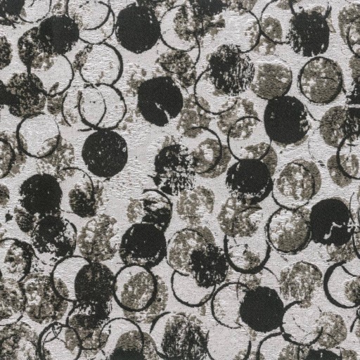 Ткань Rubelli fabric, коллекция GIOTTO, артикул 30164-003 Ткань Rubelli fabric, коллекция GIOTTO, артикул 30164-003