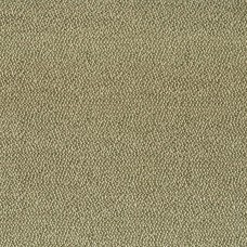 Ткань Rubelli fabric 08003-004 