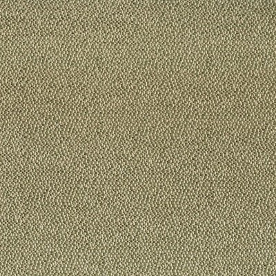 Ткань Rubelli fabric 08003-004 