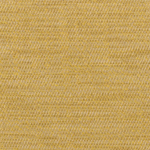 Ткань Rubelli fabric, коллекция DUKE, артикул  30322-006