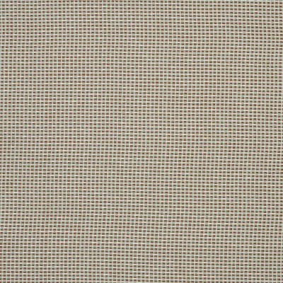 Ткань Pierre Frey fabric F3543007 