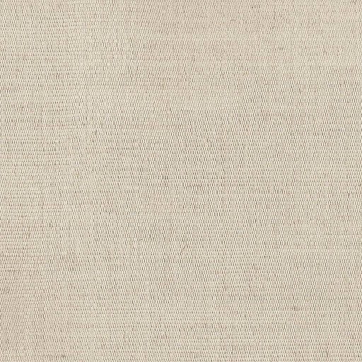 Ткань Rubelli fabric, коллекция CARLO, артикул 30086-006 Ткань Rubelli fabric, коллекция CARLO, артикул 30086-006