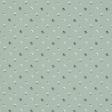 Ткань Pierre Frey fabric F3526002 