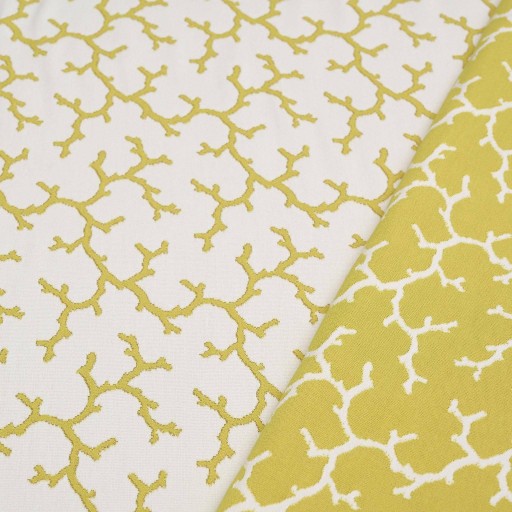 Ткань Pierre Frey fabric, коллекция Terrasse, артикул  F3483003