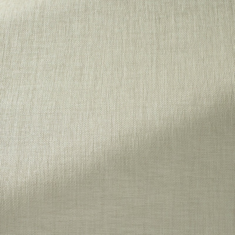 Ткань Pierre Frey fabric F3533003 