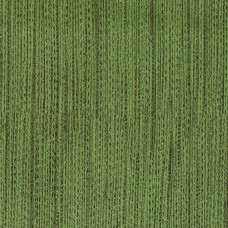 Ткань Rubelli fabric 30027-008 