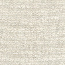 Ткань Rubelli fabric 30266-101 