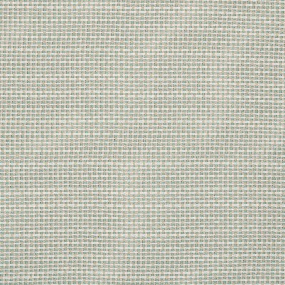 Ткань Pierre Frey fabric F3543009 
