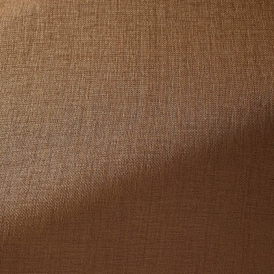 Ткань Pierre Frey fabric F3533006 