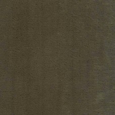 Ткань Rubelli fabric 30072-008 