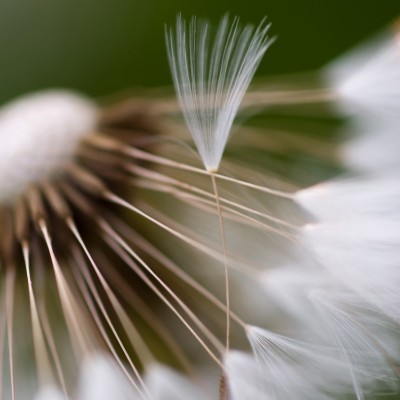 Ткань Rubelli fabric 871005 