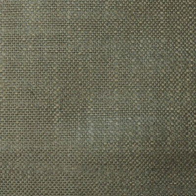 Ткань Pierre Frey fabric F2880009 