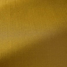 Ткань Pierre Frey fabric F3372011 