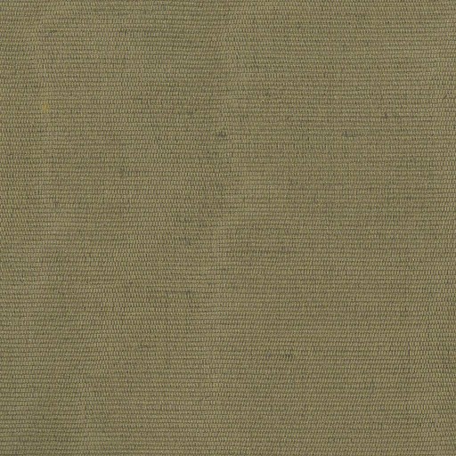 Ткань Rubelli fabric, коллекция CARLO, артикул 30086-017 Ткань Rubelli fabric, коллекция CARLO, артикул 30086-017