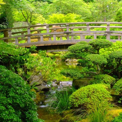 Ткань Rubelli fabric 871027 