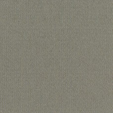 Ткань Rubelli fabric 30095-006 