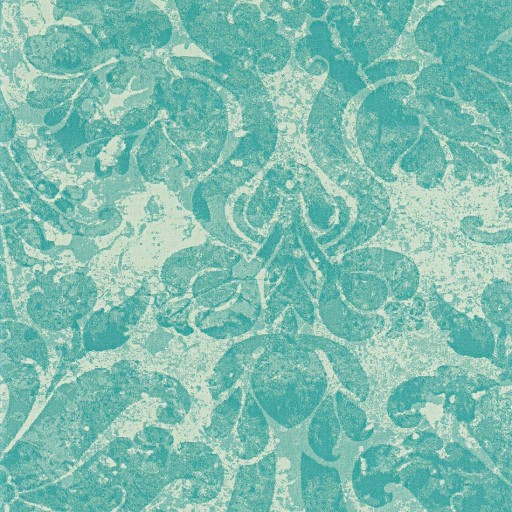 Ткань Rubelli fabric, коллекция MARGOT, артикул  30314-007