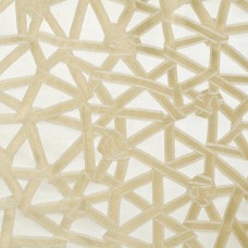 Ткань Rubelli fabric 07611-006 