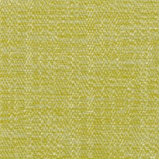 Ткань Rubelli fabric 30322-009 
