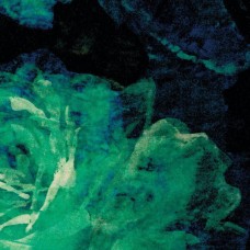 Ткань Rubelli fabric 30123-002 