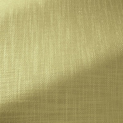 Ткань Pierre Frey fabric F3474029 