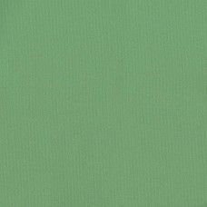 Ткань Rubelli fabric 30099-030 