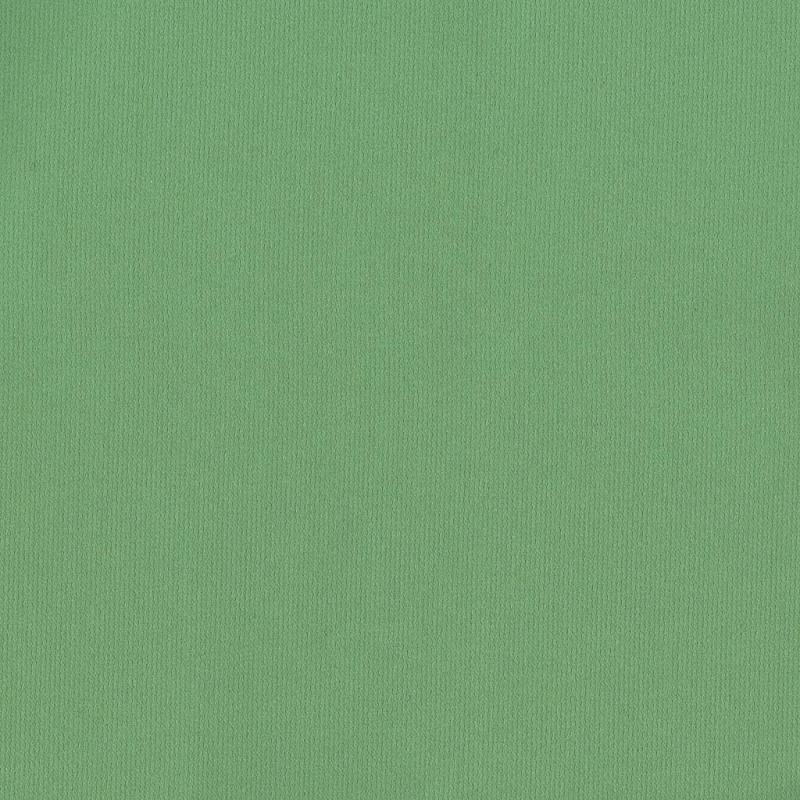 Ткань Rubelli fabric 30099-030 