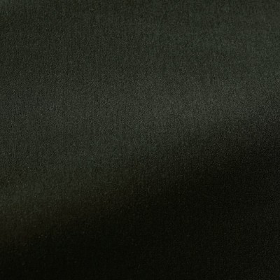 Ткань Pierre Frey fabric O7955016 