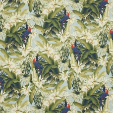 Ткань Pierre Frey fabric F3365001 