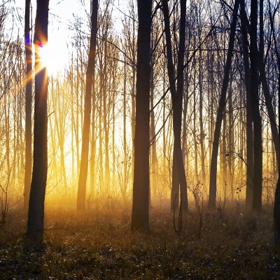 Ткань Rubelli fabric 871035 