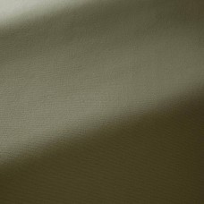 Ткань Pierre Frey fabric F3522020 