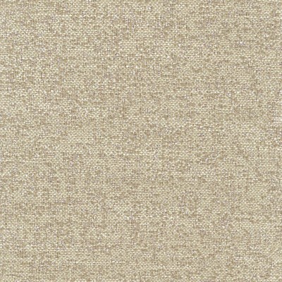 Ткань Rubelli fabric 30319-003 