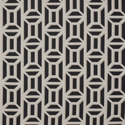 Ткань Pierre Frey fabric F3481003 