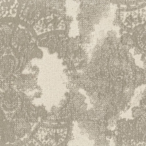 Ткань Rubelli fabric, коллекция FIAMMETTA, артикул 30169-003 Ткань Rubelli fabric, коллекция FIAMMETTA, артикул 30169-003