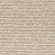 Ткань Rubelli fabric 30113-002 