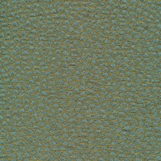 Ткань Rubelli fabric 30070-003 