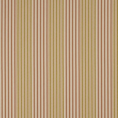 Ткань Pierre Frey fabric F3482001 